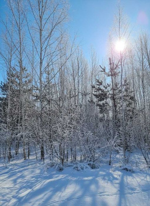 Продаж ділянки 12 соток для будівництва. В оточенні лісу. ТОРГ! ID:661