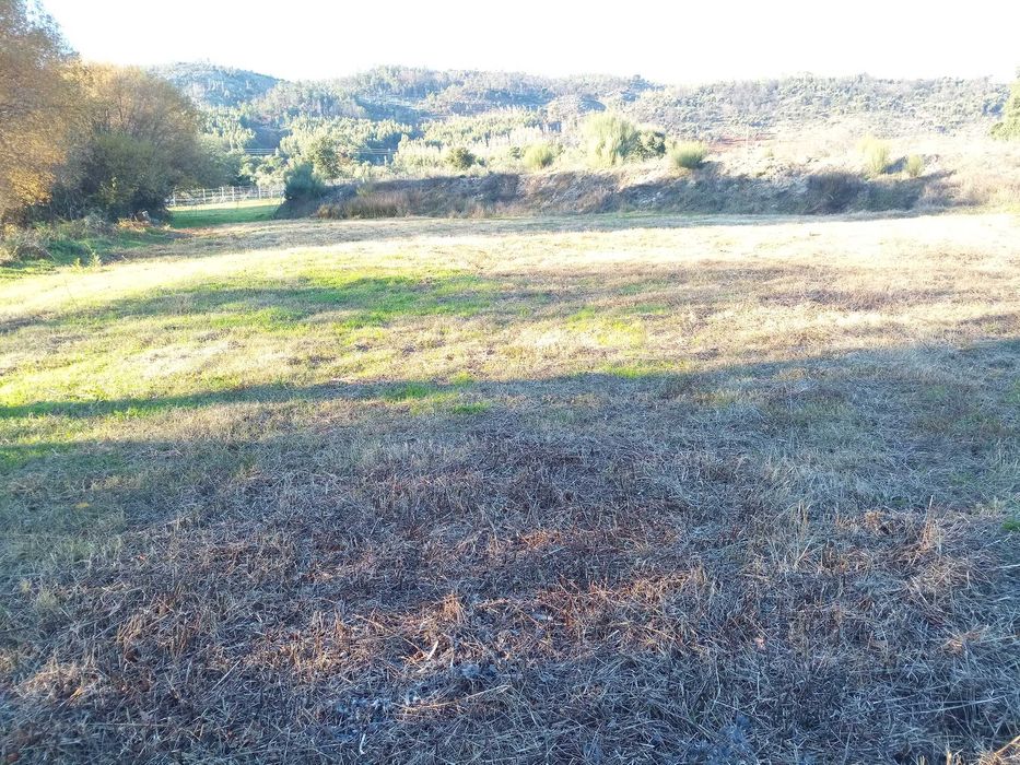 Terreno de 1,3 Ha com Ribeiro e Viabilidade de Construção