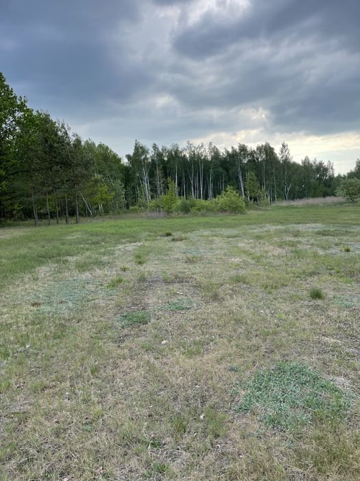 Zdjęcie 8