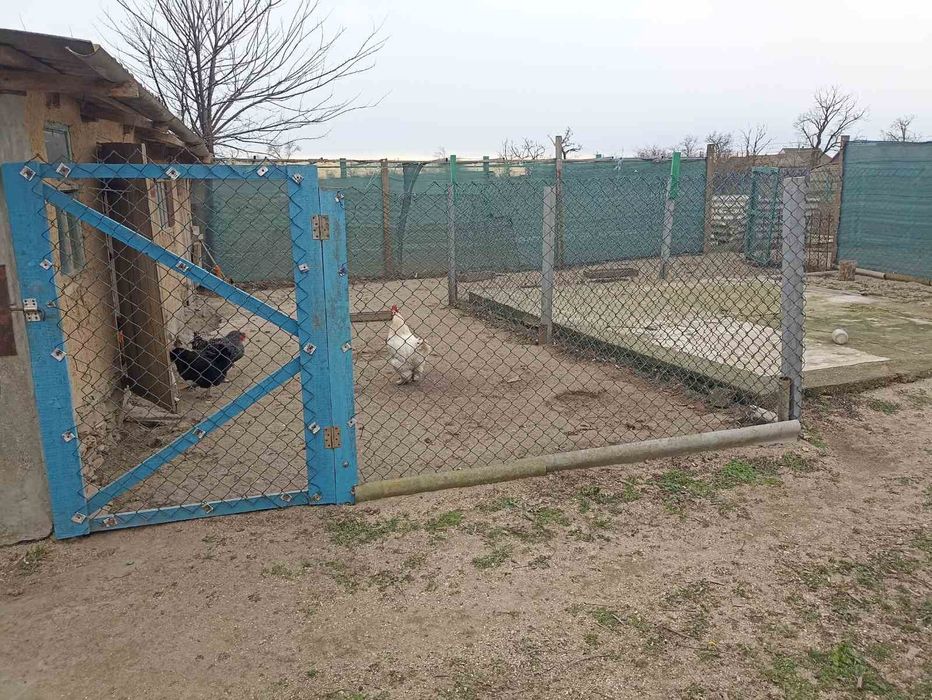 Продам будинокв Одеській області