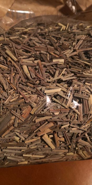 folhas erva-príncipe