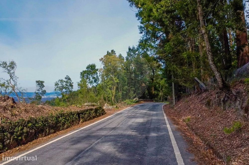 Terreno  para venda