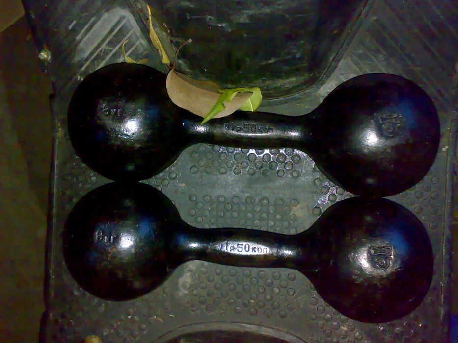 товары для школьников .гантели 10 кг