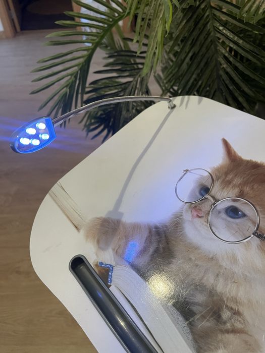 Mesa portátil c/ luz