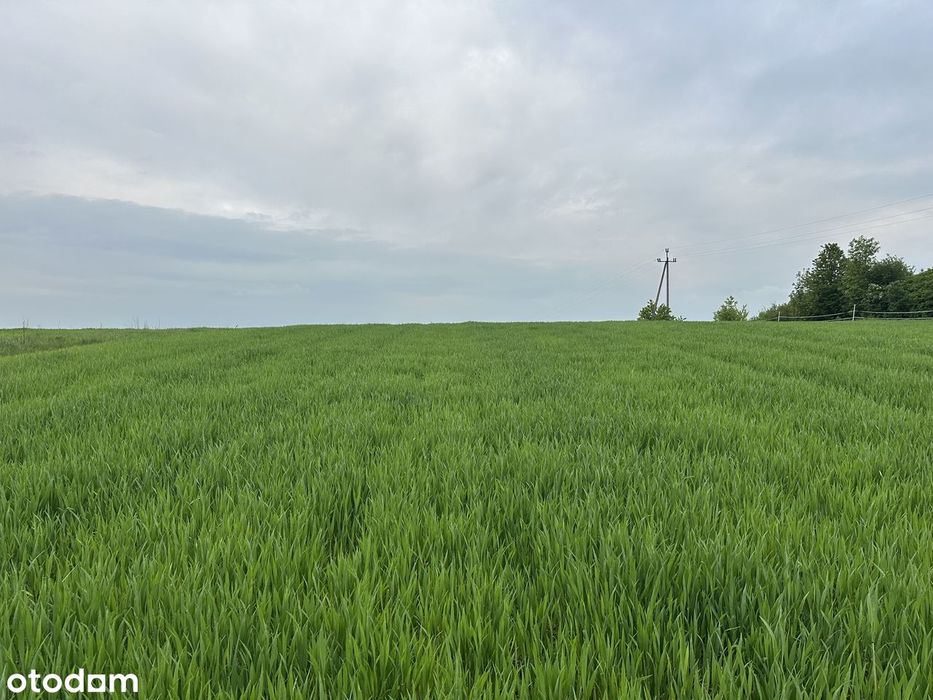 Działka rolna 1,28ha- Goszcza, ul. Kielnik