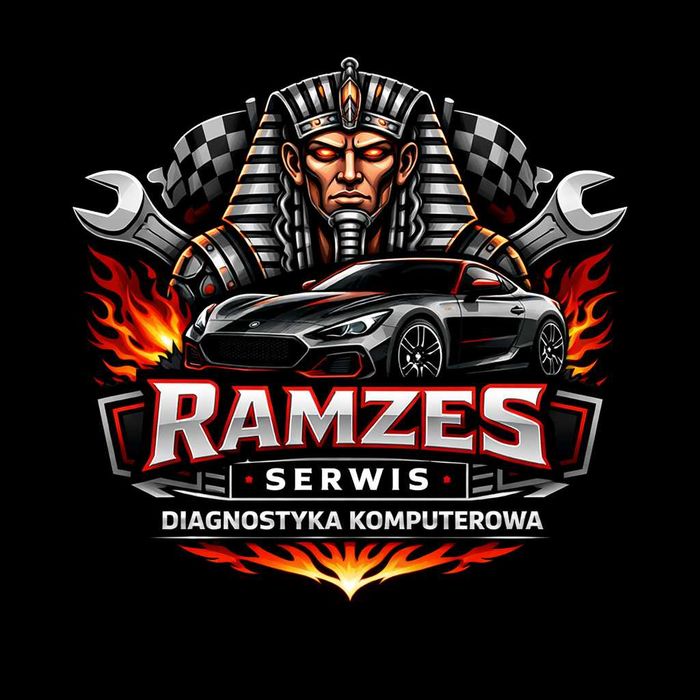 Diagnostyka komputerowa pojazdów - RAMZES - możliwy dojazd do klienta