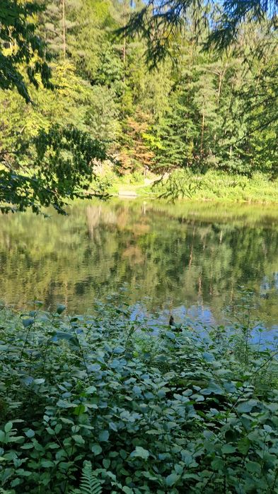 Frrie w górach. .Pokoje z widokami w górach.