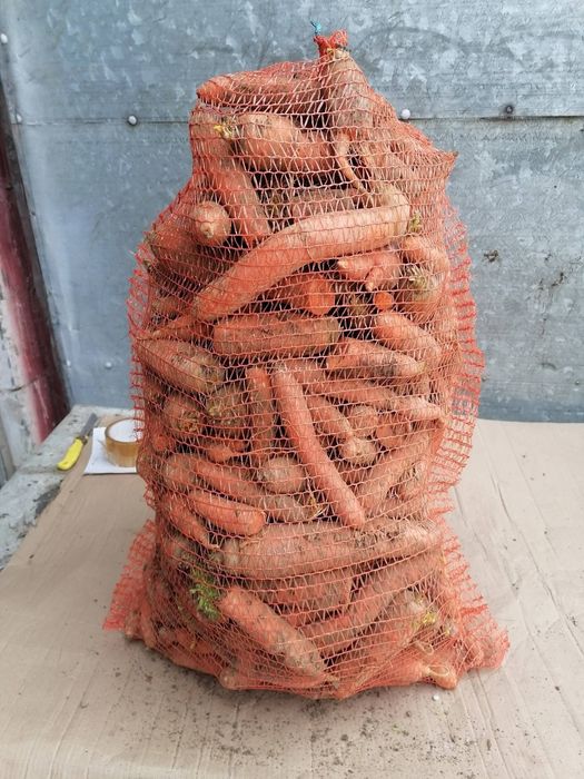 Marchew paszowa 25 kilo prosto z gospodarstwa od rolnika wysyłka paczk