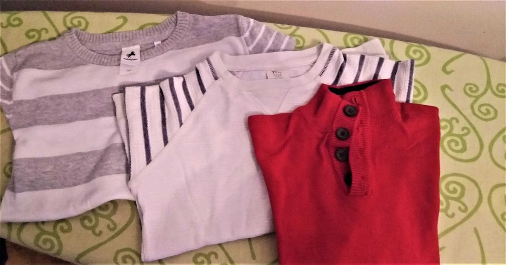 Camisolas rapaz Zippy 9/10A