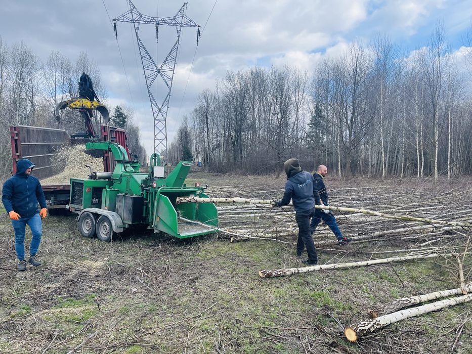 Mulczer wycinka drzew czyszczenie działek usuwanie karp rebak mielenie
