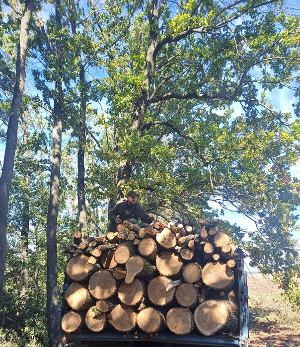 Продам дрова твердих та мішаних пород