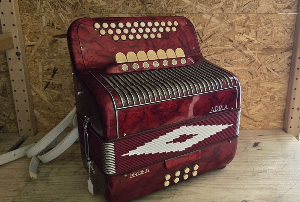 Concertina 4a voz fole novo