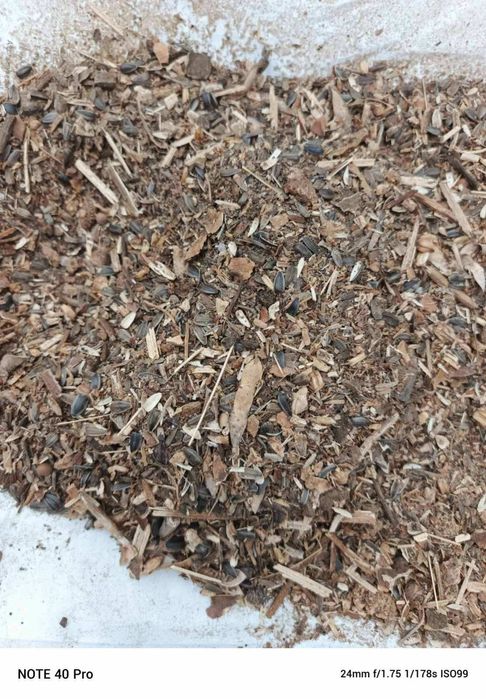 Переробник закуповує сухі відходи соняшнику агровідходи пелета