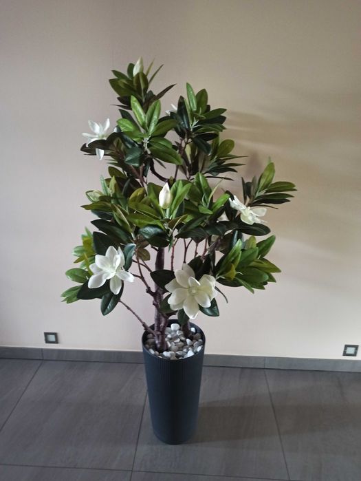 Magnolia drzewko ( sztuczne)