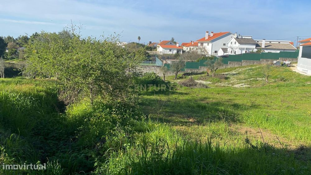 Terreno para construção – a 15 minutos de Tomar e do Entroncamento (Li