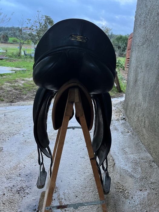 Arreio ensino  Zaldi New Kent