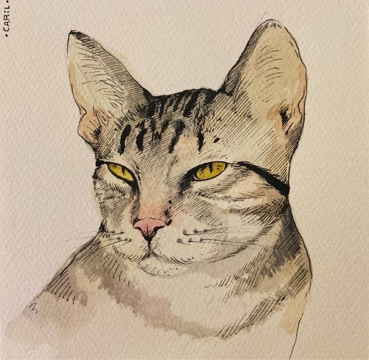 Explicações/Aulas Desenho