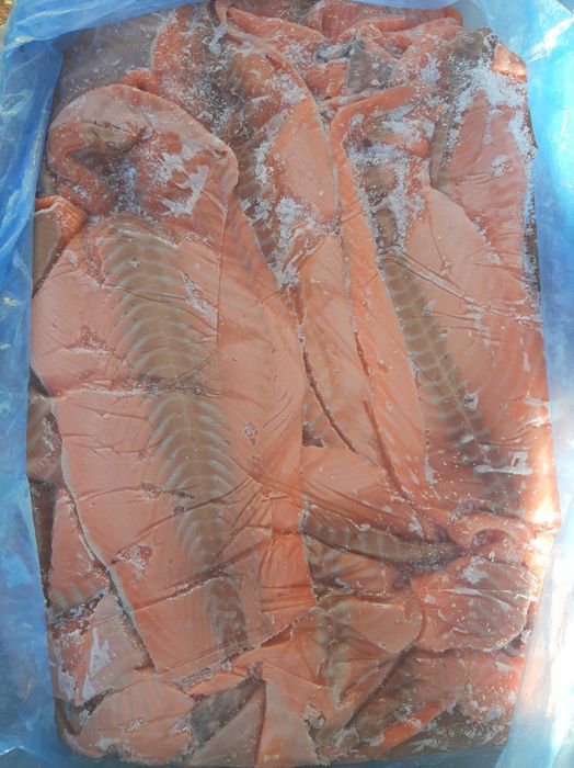 Зріз (слайси) лосося свіжий