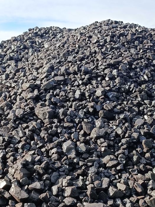 Orzech I Polski   luz  1329 zł.