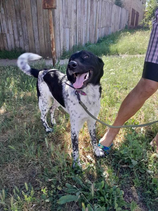 В класну родину!