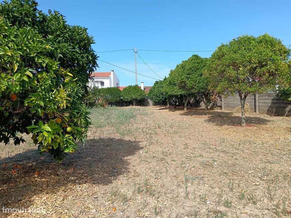 Terreno para construção — Cebolais De Cima E Retaxo, Castelo Branco