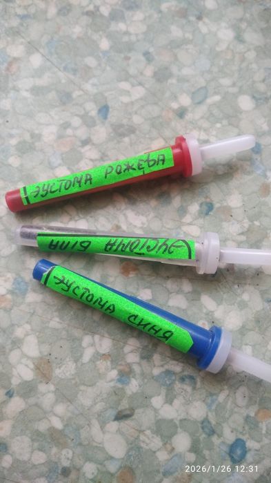 Продам насіння еустоми горшечної.