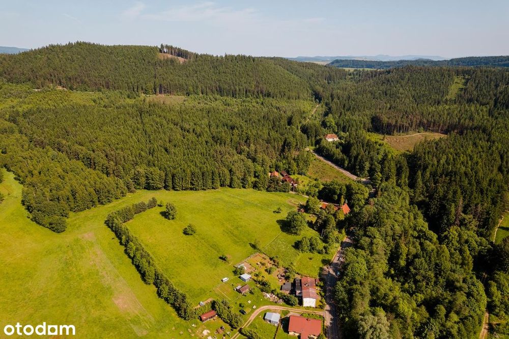 Działka widokowa w Górach Kamiennych - Widok 2