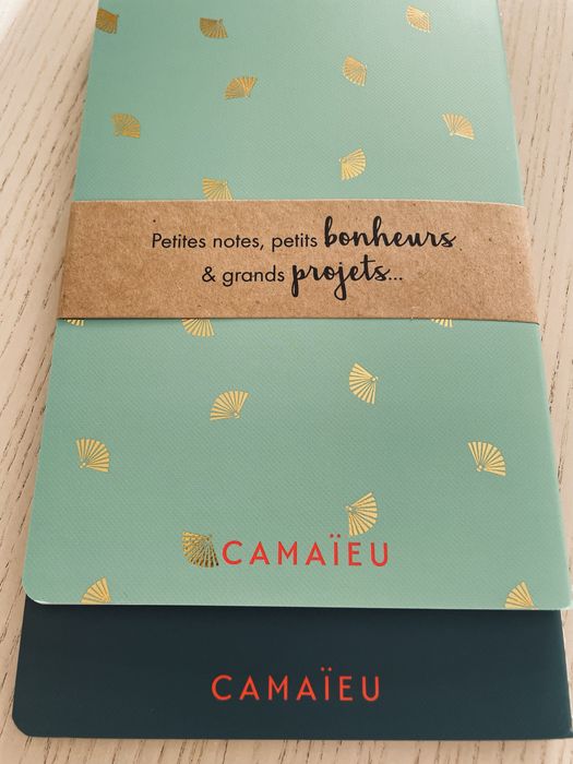 Набір записників - нотатників Camaïeu (made in France), 2 шт.