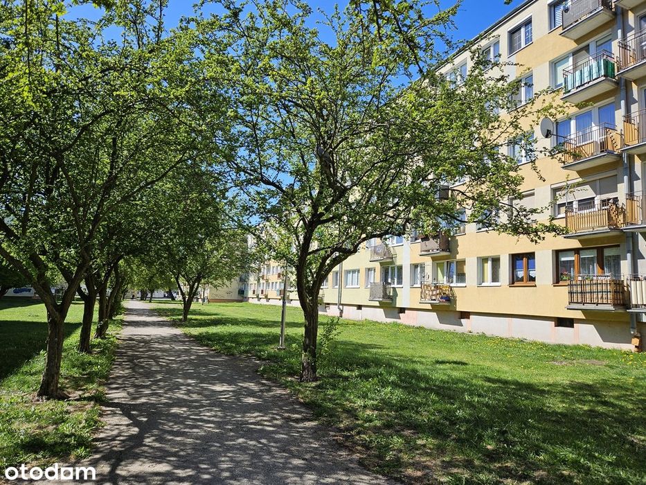 Okazja! Jasne, przestronne 4 pokoje, ul. Jacewska!
