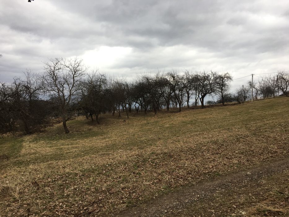 Земля 10 сотих під будівництво м. Долина, вул. Томашівського 1А