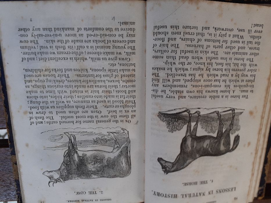 2a edição , Livros escolares antigos de História  1909  e outro de Ing