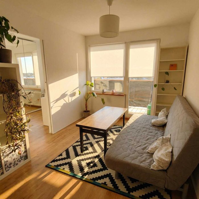 Mieszkanie 2 pokoje kawalerka