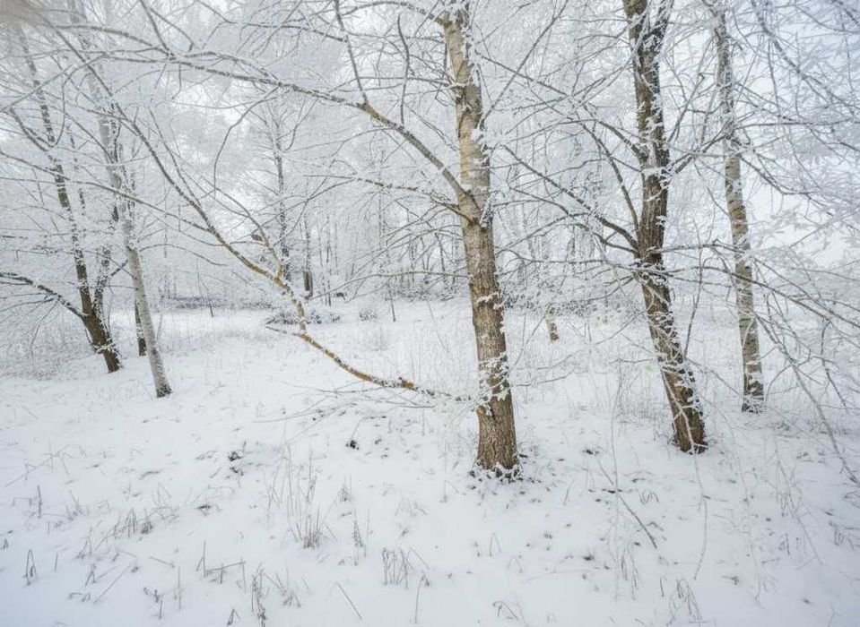 Продаж ділянки 25сот під забудову. Поряд озеро. Біля лісосмуги. ID:405