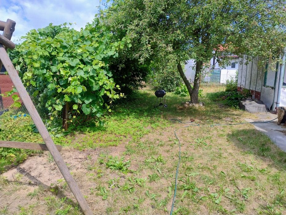 Działka rod Widok , Nehringa