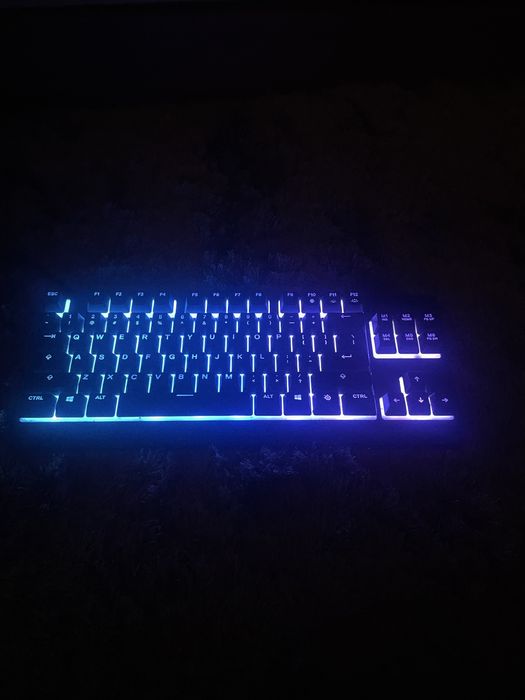 Teclado Gaming SteelSeries Apex 3 TKL