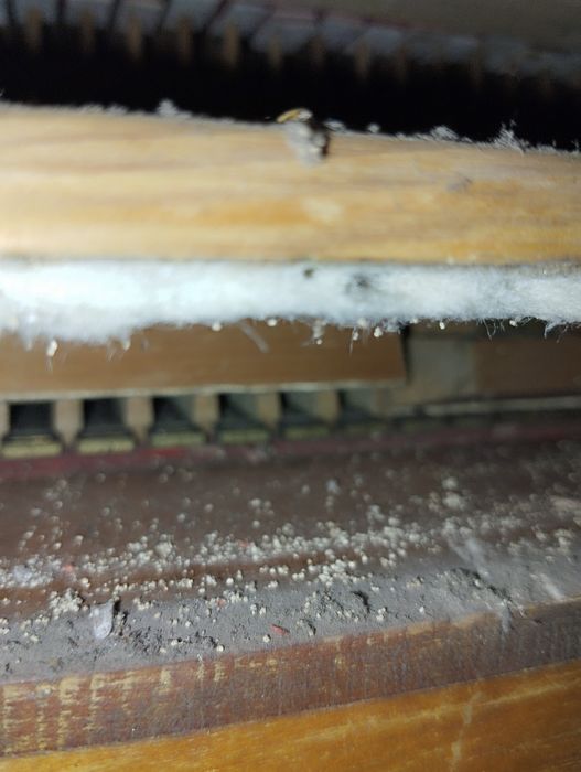 Fisharmonia organy piękne dźwięki