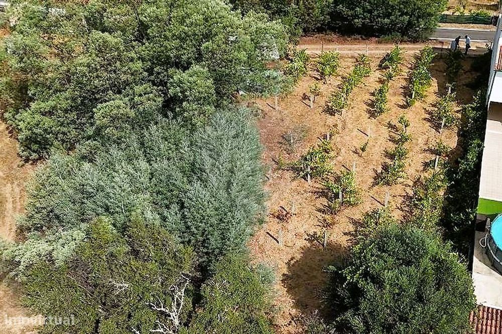 Terreno  para venda