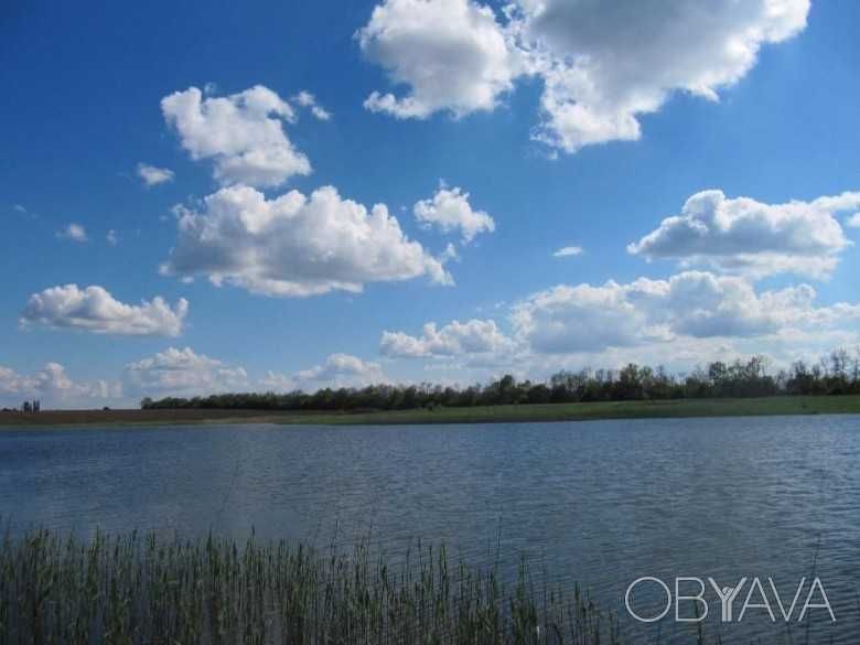 Продаж бази відпочинку і ставка в Дніпропетровській області