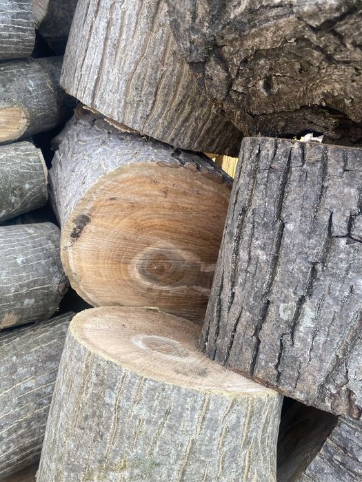 Продам стовбур горіха