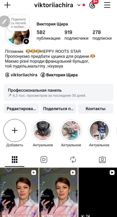 Красуня обрикоска .