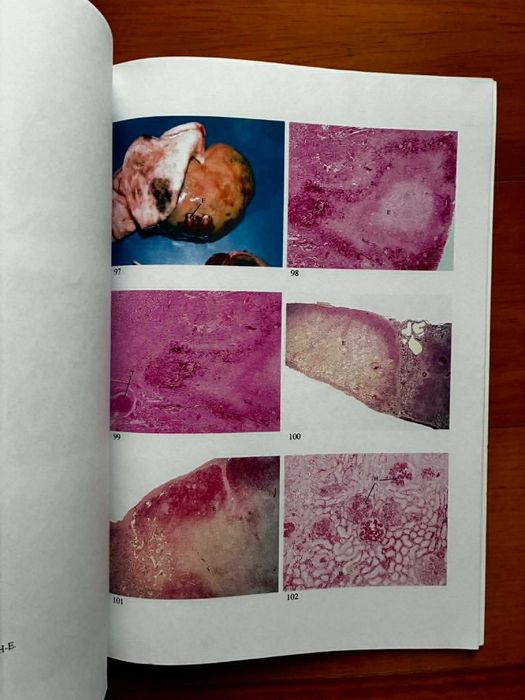Caderno de Aulas Práticas de Patologia Geral