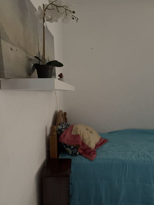 Alugo quarto na amadora