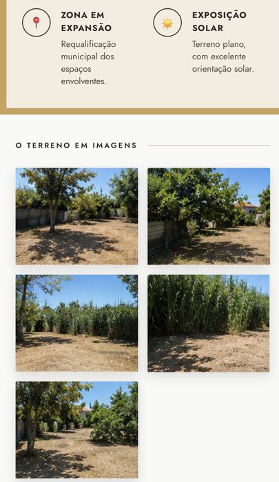 Venda de terreno