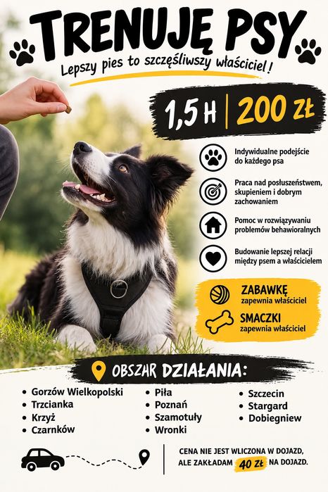 Trening psów | Psi trener | 1,5h – 200 zł | Gorzów, Piła, Poznań