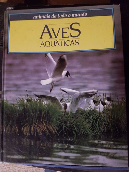 Livros diversos1