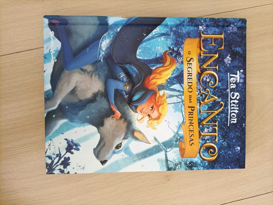 Livro-o segredo das princesa