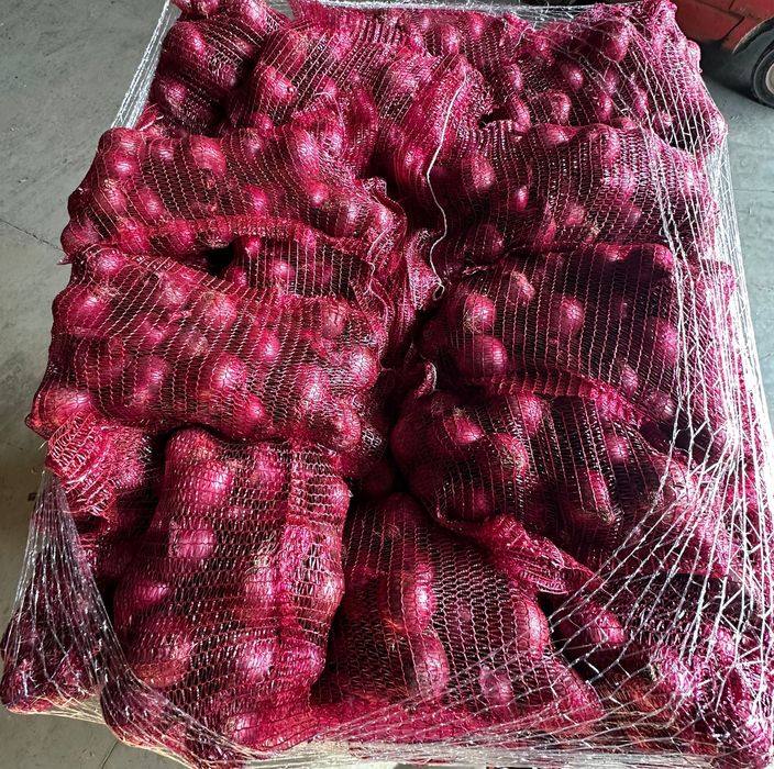 Cebula czerwona w worku