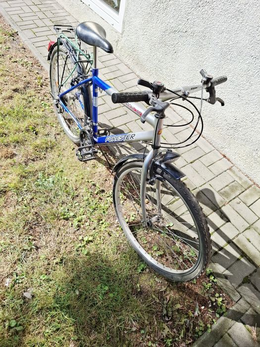 Rower Arkus Delta Trend 301