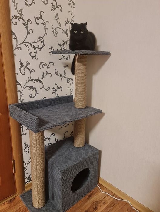 Кігтеточка  комплекс для кота