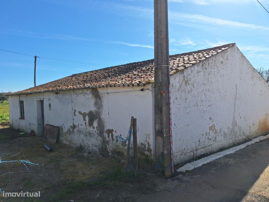 Quinta situada em Olhas - Ferreira do Alentejo